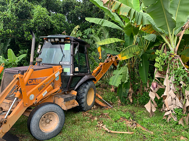 Backhoe tree clearance job